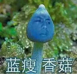 黑黑是什么意思流行词 热门大瓜每日必吃大瓜,揭秘热门大瓜，每日必吃“黑料”盛宴